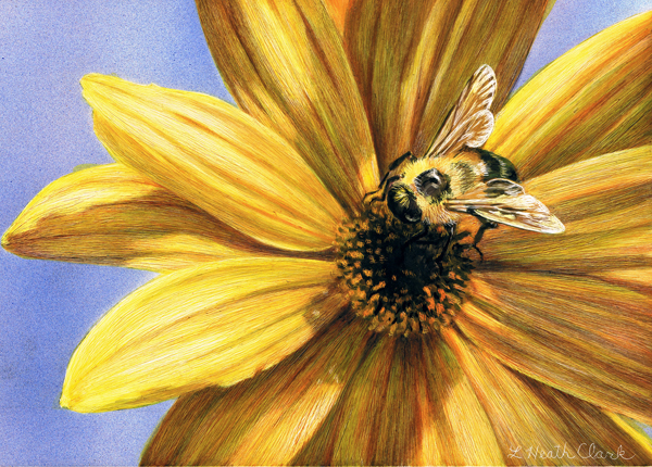 Bee, Acrylic on Clayboard