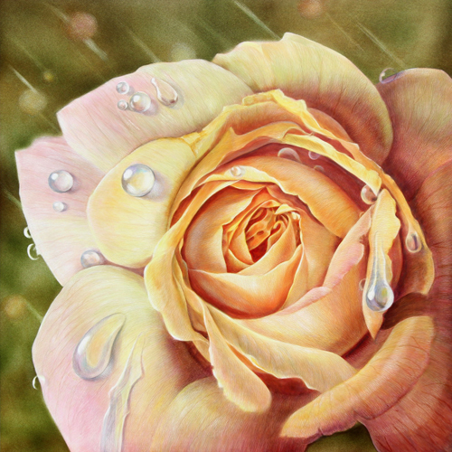 Rose with water drops, Acrylic on Clayboard