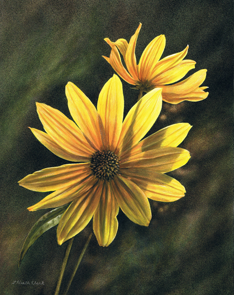 Sunflower, Acrylic on Clayboard