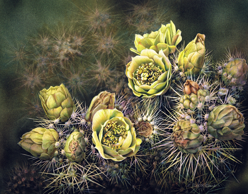 
		Cactus flowers, Acrylic on Scratchboard