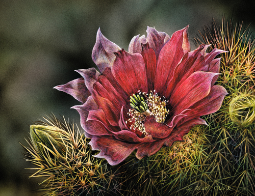 Desert Color, Acrylic on Scratchboard