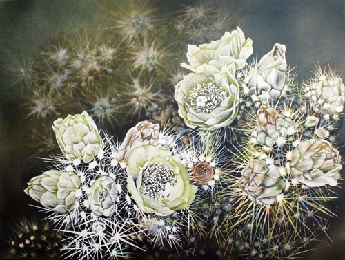 
		Two white flowers, Acrylic on Scratchboard
